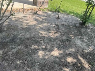 Weeding by Isaic Perez for Sonia T. in Houston, TX