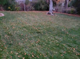 Weeding by Kevin Johnson for Jennifer C. in Lakewood, CO