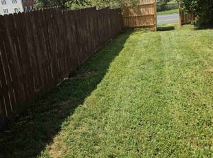 Lorraine P.'s Lawn Mowing Service service result
