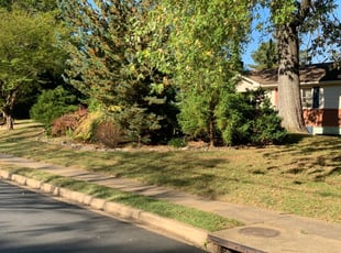 Cleanups by Jose M Rodriguez for Meredith K. in Falls Church, VA