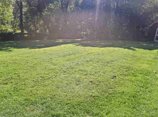 Prasanta N.'s Grass Cutting service result