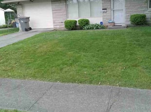 John B.'s Lawn Service service result
