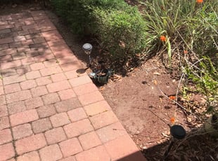 Cleanups by Jose Disla; for Roland P. in Davenport, FL