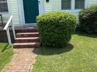 Bush Trimming by Ronald i know Butler for Joshua H. in Charleston, SC