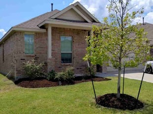 Amy L.'s Lawn Care service result