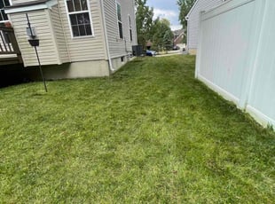 Lee S.'s Lawn Mowing service result