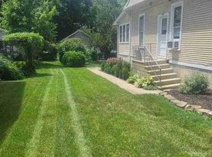 Ricky T.'s Lawn Mowing service result