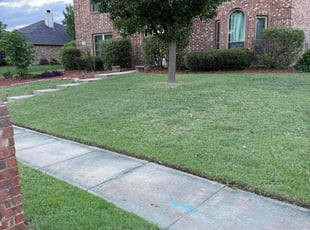 Bush Trimming by Maleeah Ray for Eric J. in Rockwall, TX