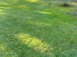 Gale J.'s Lawn Service service result