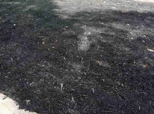 Mulching by Montgomery Roberts for Bella S. in Kennesaw, GA