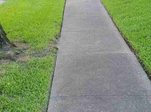 Robert D.'s Lawn Mowing service result
