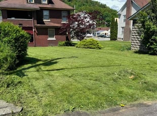 Tracie B.'s Yard Cutting service result