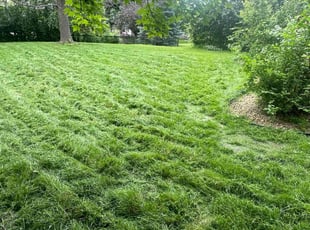 Gordon G.'s Lawn Care service result