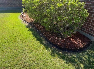 Jorge C.'s Lawn Care service result
