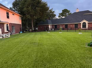 Terrence T.'s Lawn Mowing service result