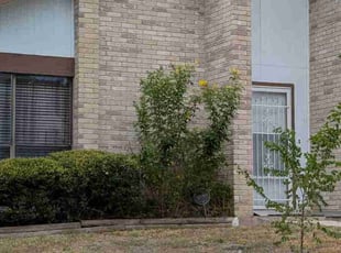 Bush Trimming by Marc Davis for Lyn J. in San Antonio, TX