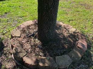 Weeding by Georg-Ann Flores for Raven J. in Spring, TX