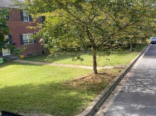 Bill V.'s Lawn Mowing Service service result