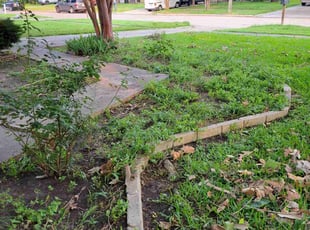 Weeding by Gladis Carcamo for Naela D. in Katy, TX