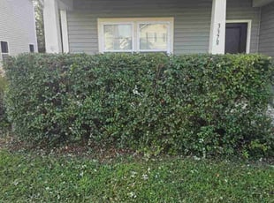 Bush Trimming by Pavel Artyukh for Ian y. in Midland, NC
