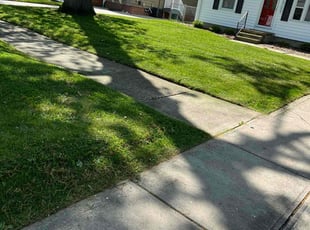 Jimmy W.'s Lawn Maintenance service result