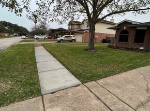 Leaf Removal by Jose Gil for Justice H. in Houston, TX