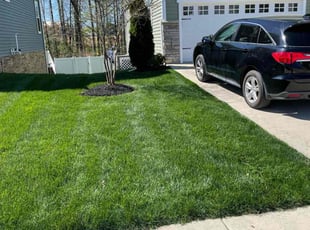GLORIA C.'s Lawn Service service result