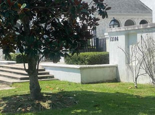 Bush Trimming by Layken Hebert for Daniel S. in Baton Rouge, LA