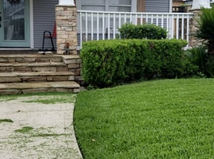 Bush Trimming by Kimberly Gonzales-Franco for Melanie T. in Houston, TX
