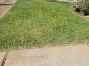 Kamil B.'s Lawn Mowing service result