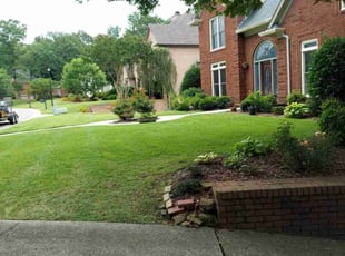 Savannah D.'s Lawn Service service result