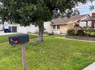 Kathy V.'s Lawn Service service result