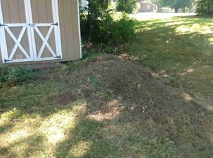 Cleanups by Bernard Frampton for Holly M. in Abingdon, MD