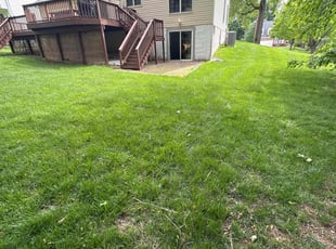 Cleanups by Walter Γlvarez for Raymond K. in Ellicott City, MD