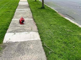 Jordan D.'s Lawn Service service result