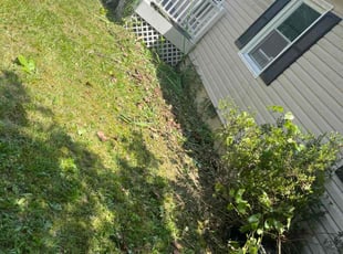 Weeding by James Meredith for Brittany Z. in Chesterfield, VA