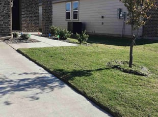 James S.'s Lawn Maintenance service result