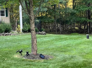 Bruce M.'s Lawn Care service result
