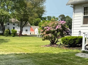 Bush Trimming by Henry Jimenez for Diane J. in Enfield, CT