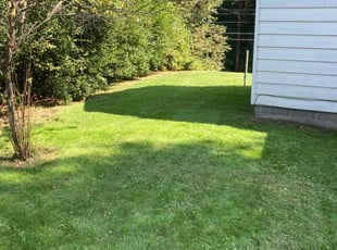 Candace R.'s Lawn Service service result