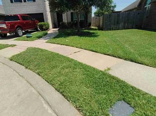 Steven J.'s Lawn Care service result