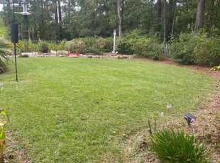 Georgia S.'s Yard Cutting service result