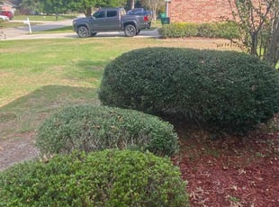 Weeding by Elton Gilmore for Tamyeka H. in Slidell, LA
