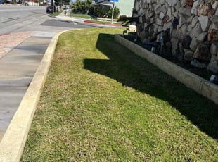 Madonna G.'s Lawn Mowing service result