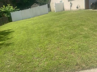 Michael P.'s Lawn Care service result