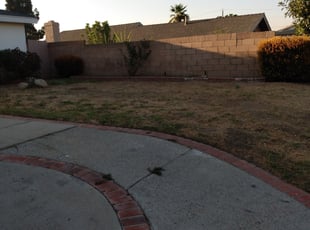 Monique A.'s Landscaping service result