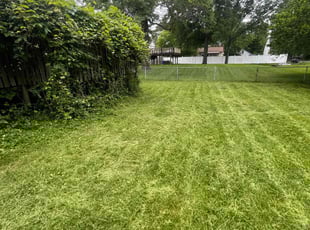 Leaf Removal by Tim McCullough for Steven K. in College Park, MD