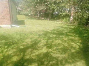 Cathy D.'s Lawn Service service result