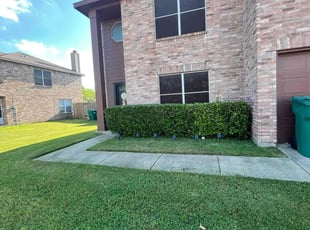 Bush Trimming by Marcos Aguilar for Nuecell B. in Cedar Hill, TX