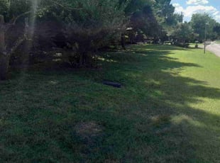 Leaf Removal by Bradley Rearden for Shawn M. in Midlothian, TX